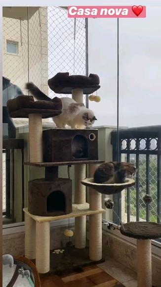 Arranhador para Gato Luxo