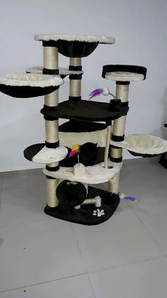 Arranhador para Gato Pisadinha