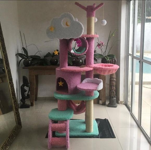 Arranhador para Gato Purpura