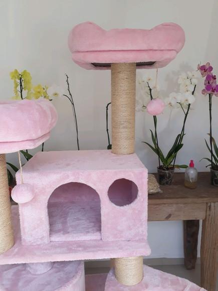Arranhador para Gato Rosa