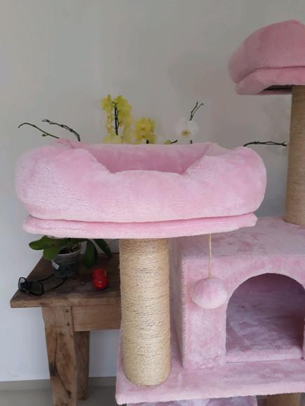 Arranhador para Gato Rosa