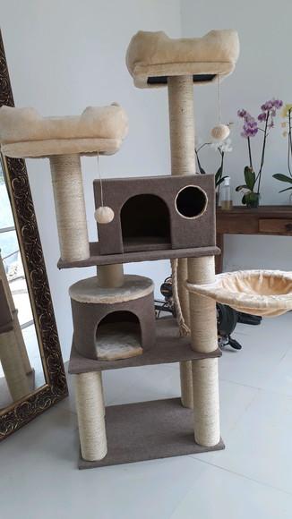 Arranhador para Gato Ternura com Tapete