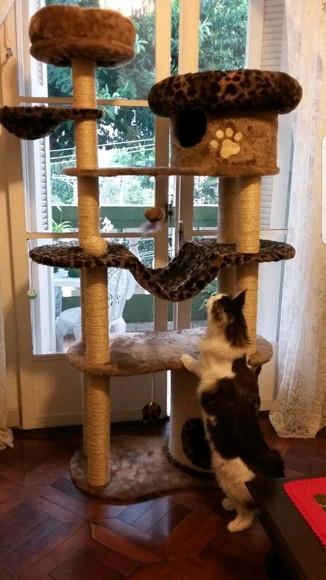 Arranhador para Gato Trono dos Reinos