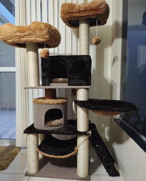 Arranhador para Gato Vergonha de Cordinha com Rede