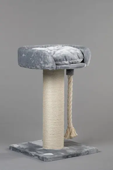 Arranhado de Gatos