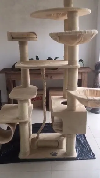 Arranhado de Gatos