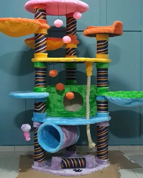 Arranhado de Gatos