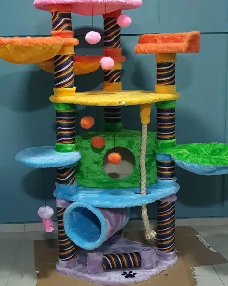 Arranhado de Gatos