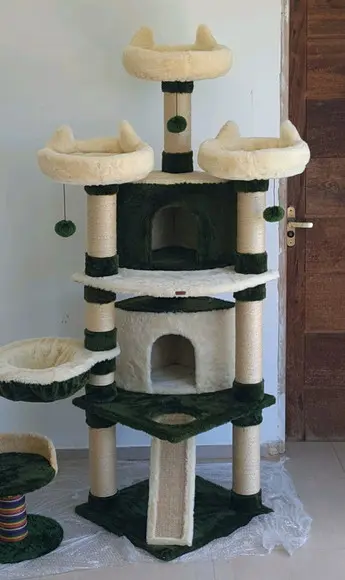 Arranhado de Gatos