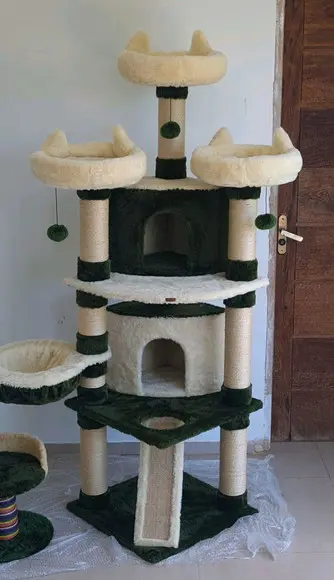Arranhado de Gatos