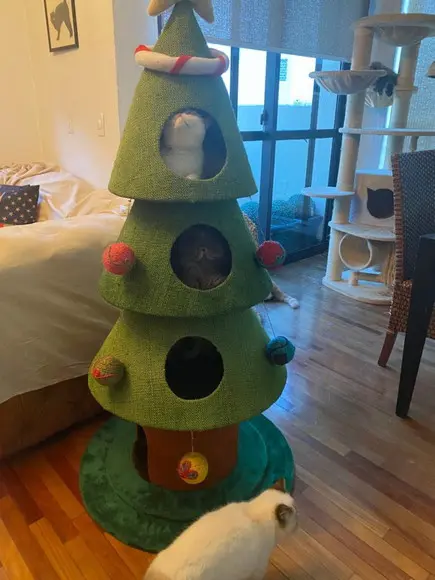 Arranhador para Gato Árvore de Natal