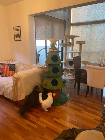Arranhador para Gato Árvore de Natal
