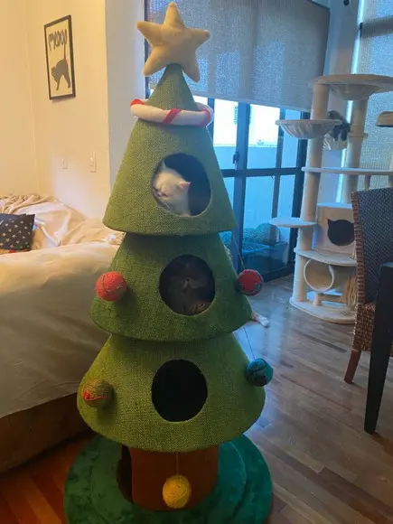 Arranhador para Gato Árvore de Natal