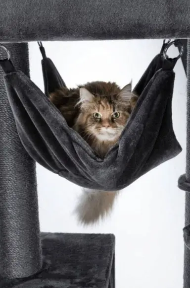 Arranhador para Gato Baiano