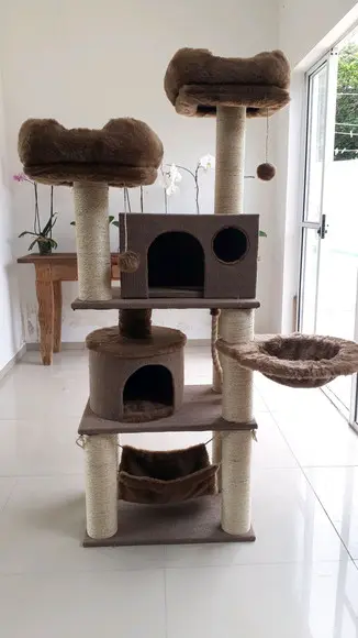 Arranhador para Gato com Tapete