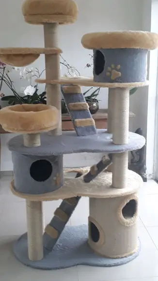Arranhador para Gato Gigante