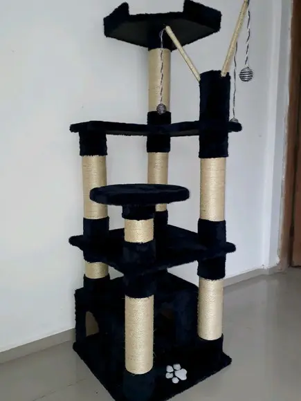 Arranhador para Gato Pisadinha