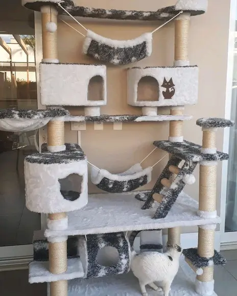 Arranhador para Gato Pisadinha