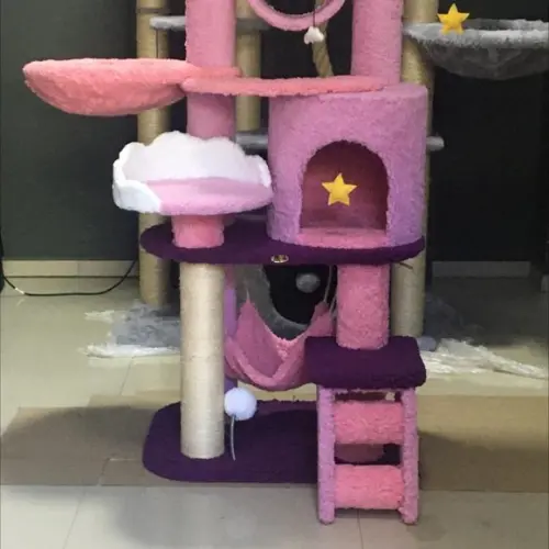 Arranhador para Gato Purpura