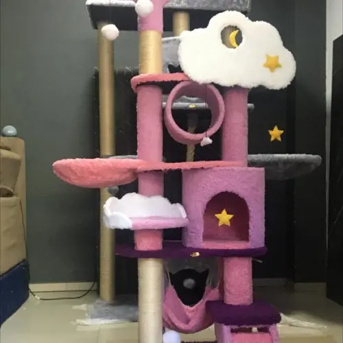 Arranhador para Gato Purpura