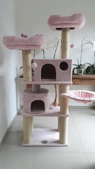 Arranhador para Gato Rosa