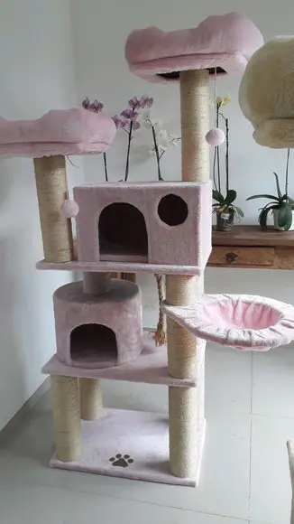 Arranhador para Gato Rosa