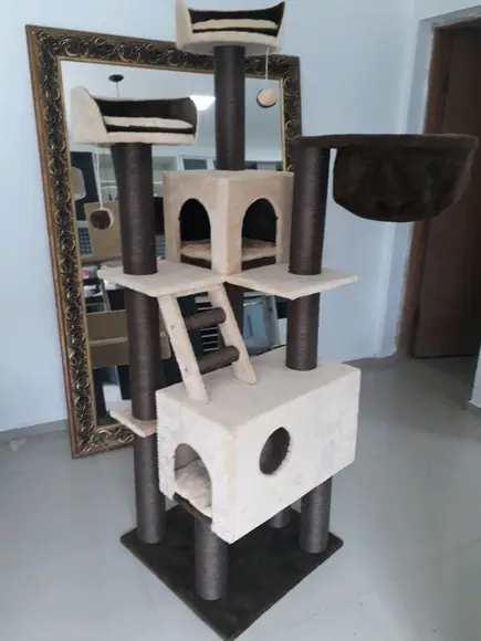 Arranhador para Gato Secreto