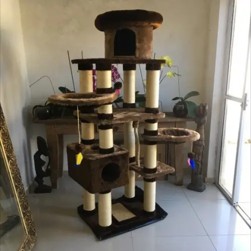 Arranhador para Gato Ternura