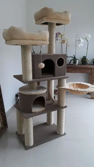 Arranhador para Gato Ternura com Tapete