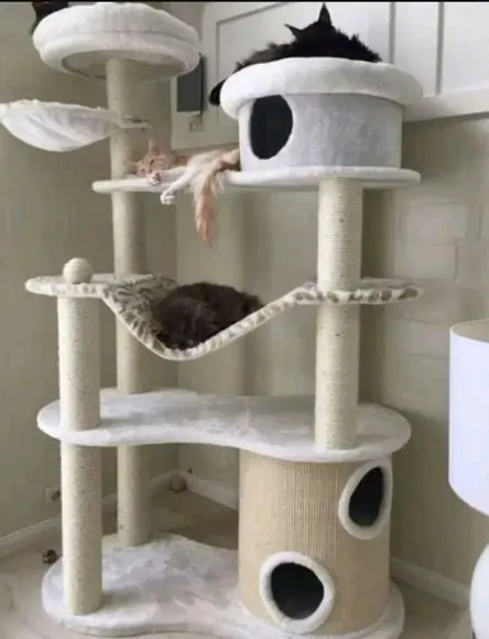 Arranhador para Gato Trono de Ferro