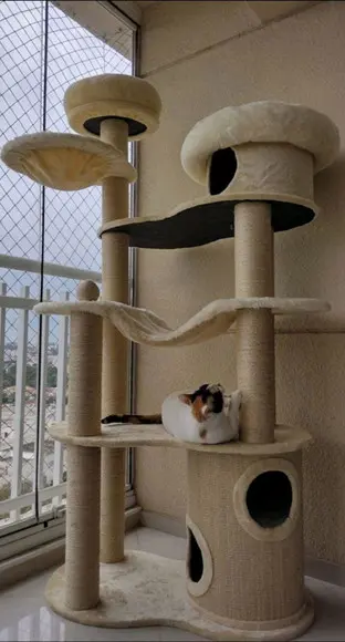 Arranhador para Gato Tro de Ferro