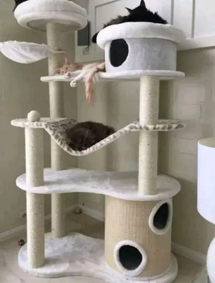 Arranhador para Gato Trono