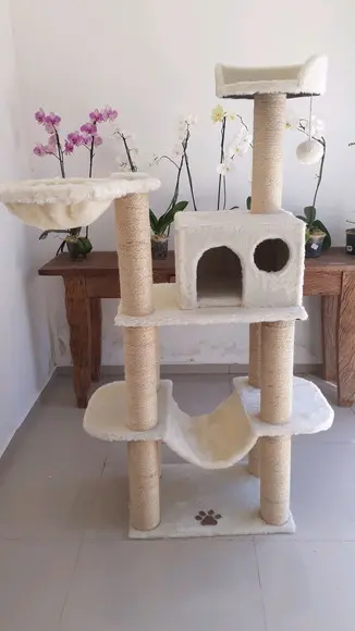 Arranhador para Gato Up