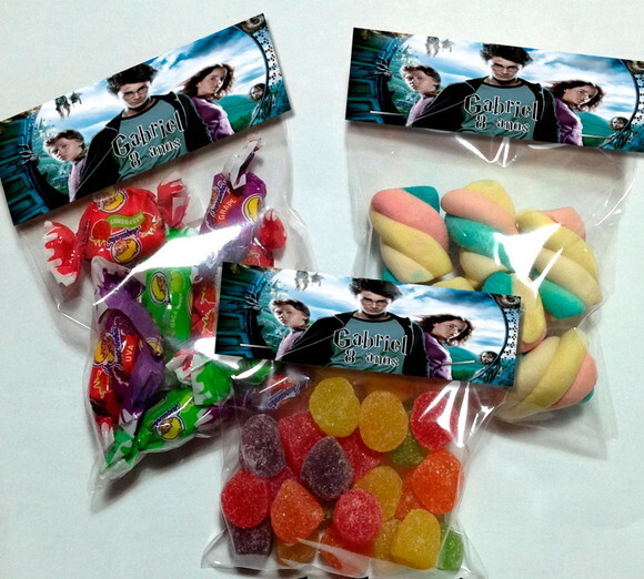 Lapela com Saquinho Vazio Harry Potter
