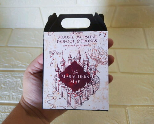 Caixa Maletinha Harry Potter