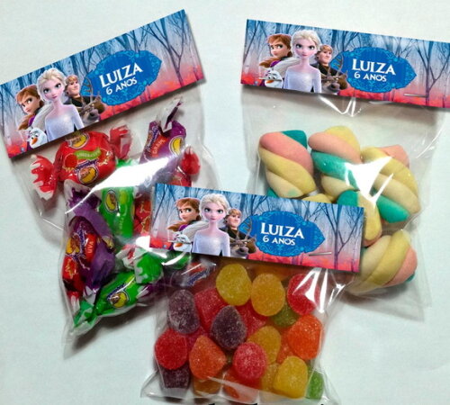Lapela com Saquinho Vazio Frozen 2