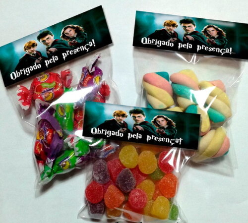 Lapela com Saquinho Vazio Harry Potter
