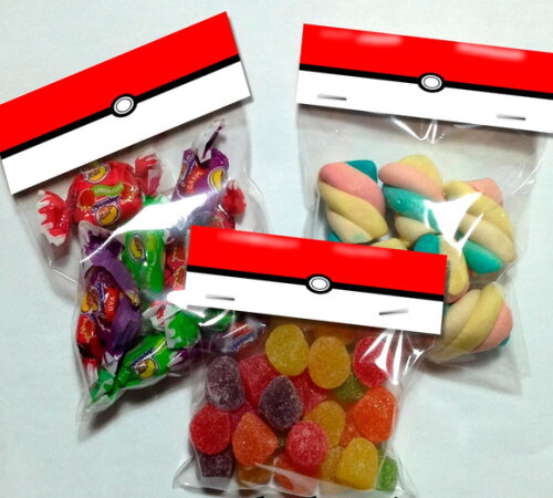 Lapela com Saquinho Vazio Pokémon