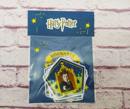 Saquinho + 5 Cards Sapo de Chocolate Harry Potter