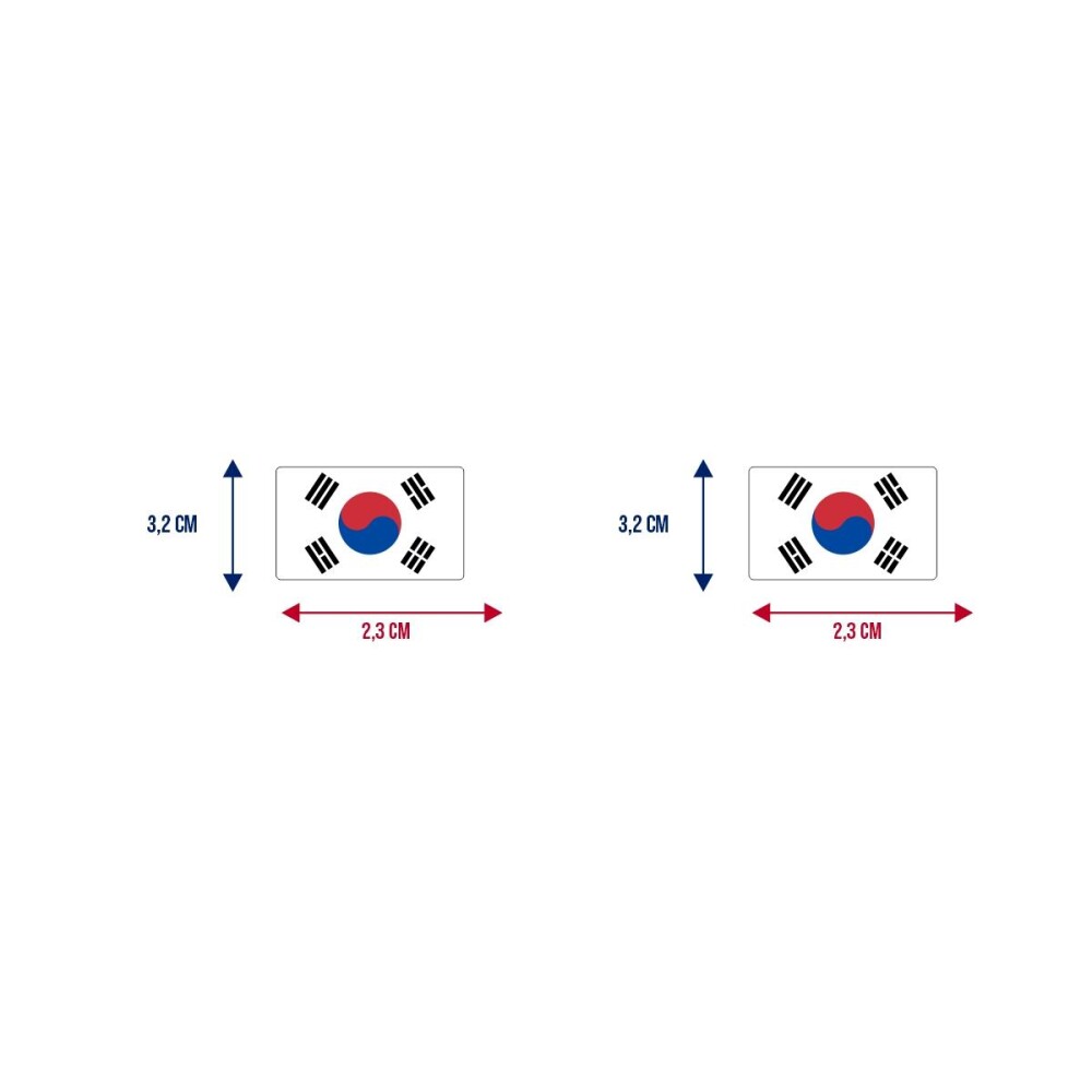 Bandeira Resinada Automotiva Coreia do Sul