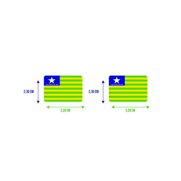 Bandeira Resinada Automotiva do Piauí