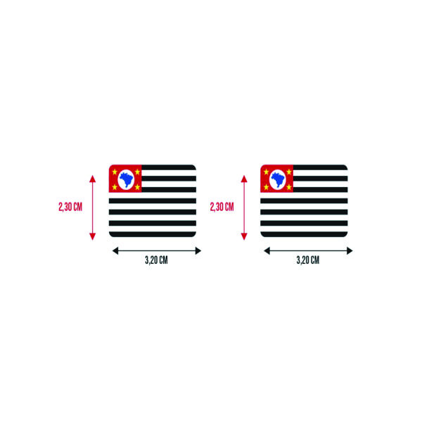 Bandeira Resinada Automotiva de São Paulo