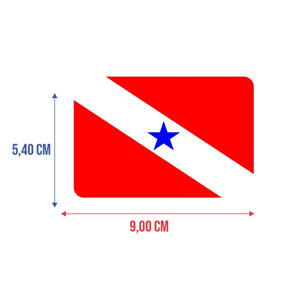 Bandeira Resinada Automotiva do Pará
