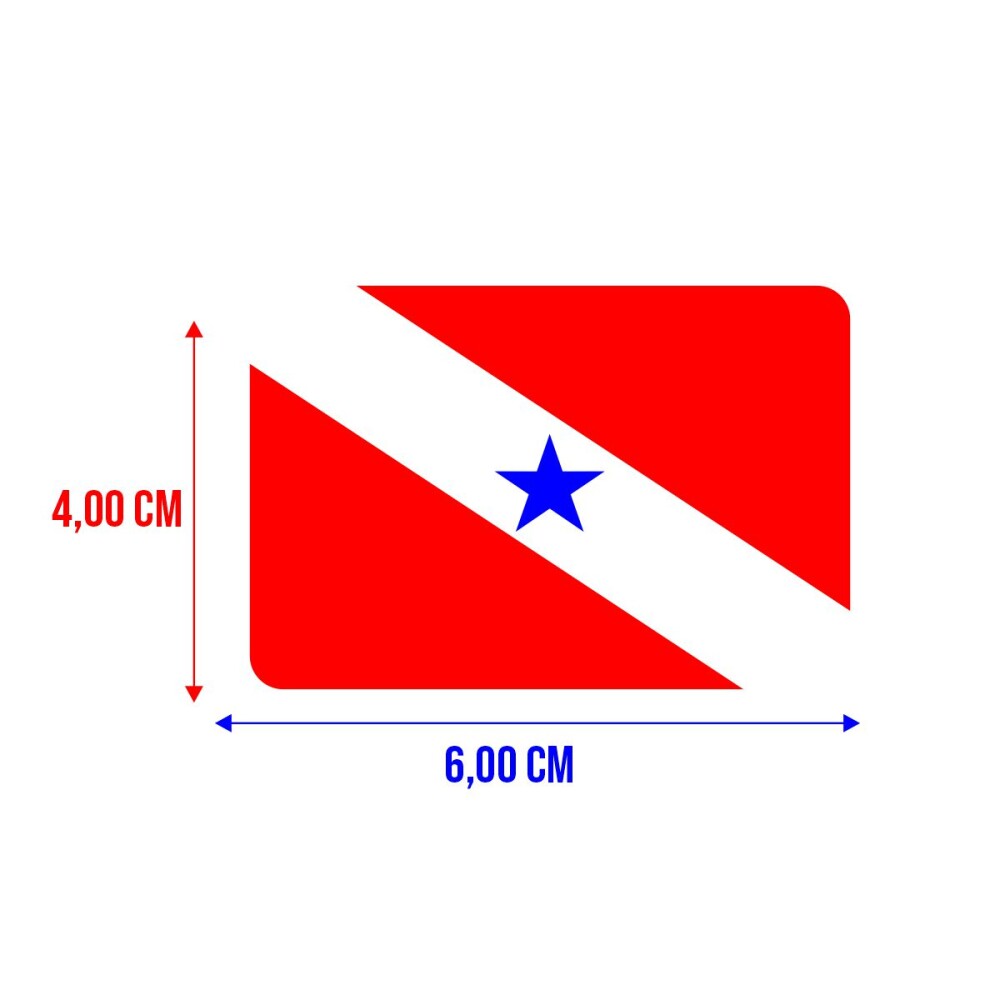 Bandeira Resinada Automotiva do Pará