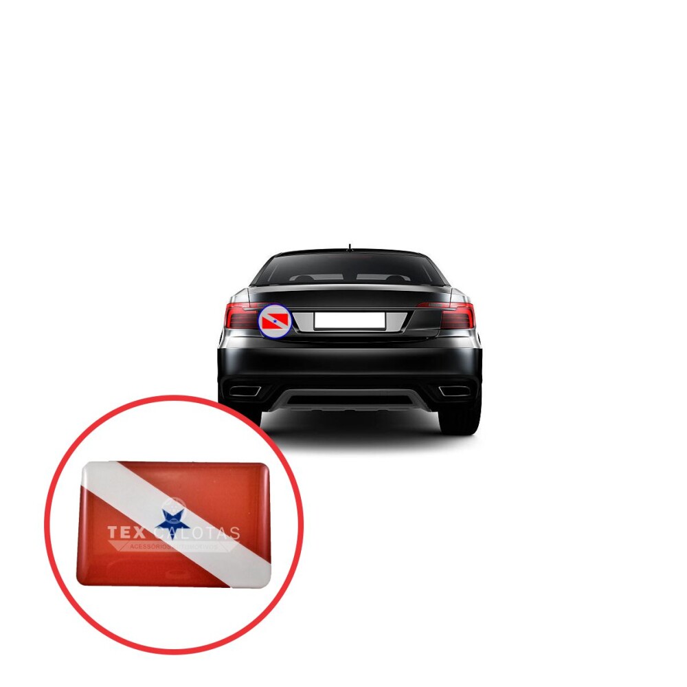 Bandeira Resinada Automotiva do Pará