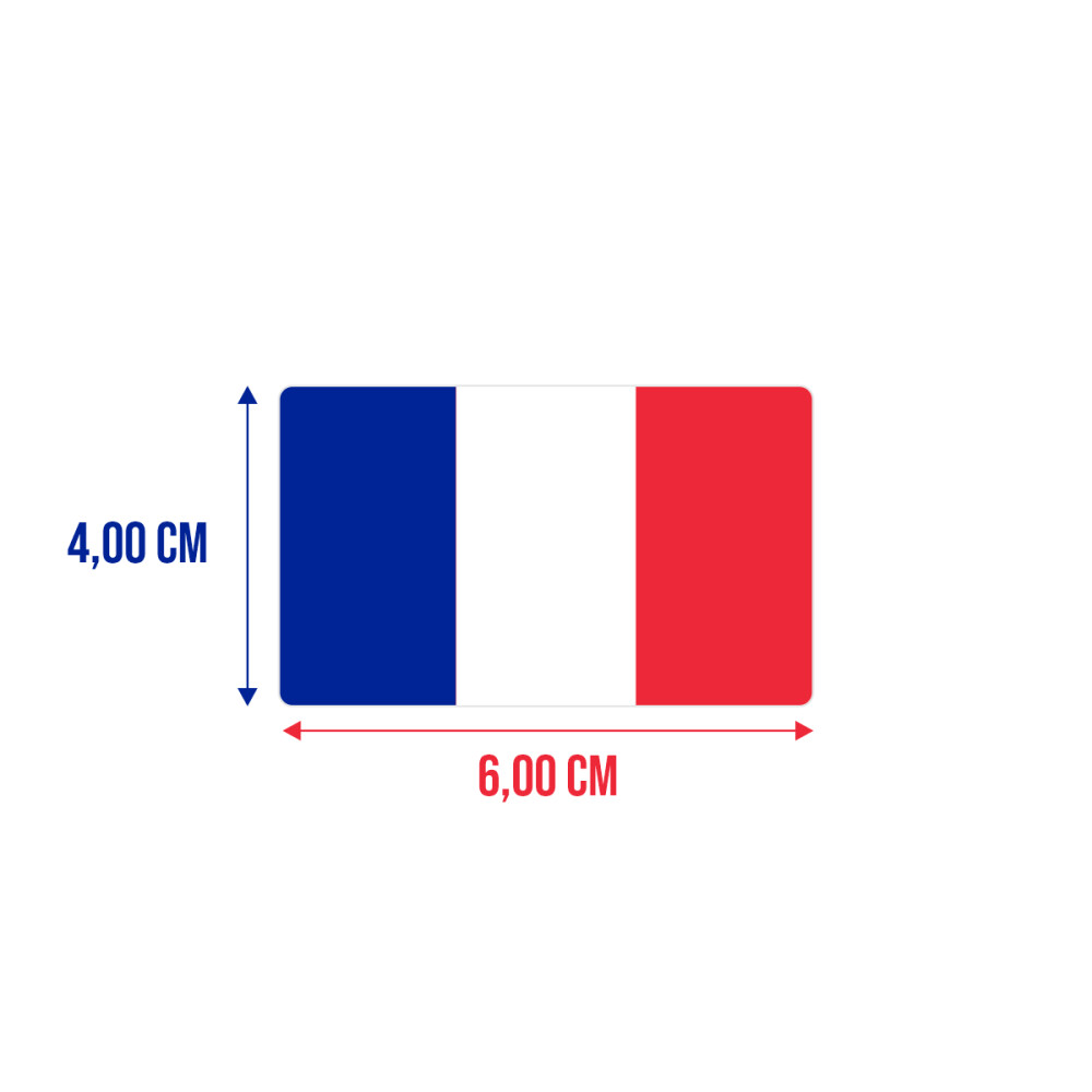 Bandeira Resinada Automotiva França