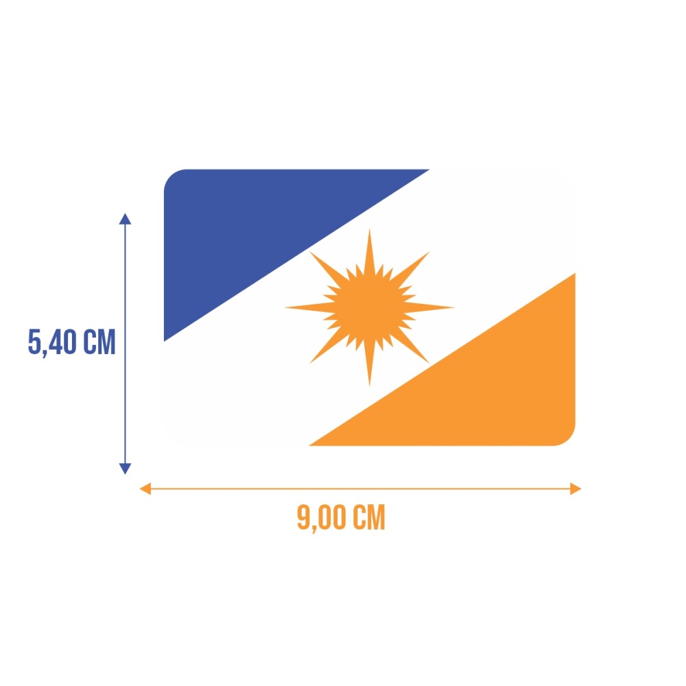 Bandeira Resinada Automotiva do Tocantins