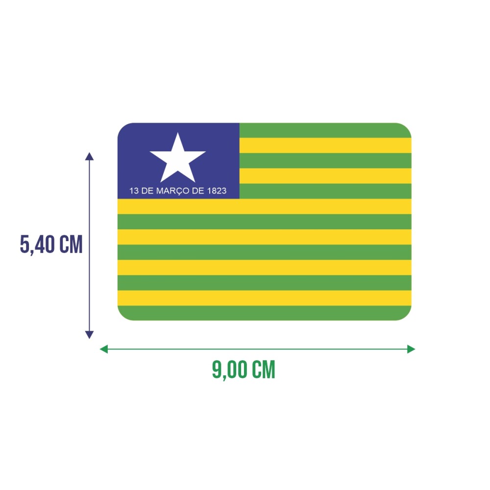 Bandeira Resinada Automotiva do Piauí