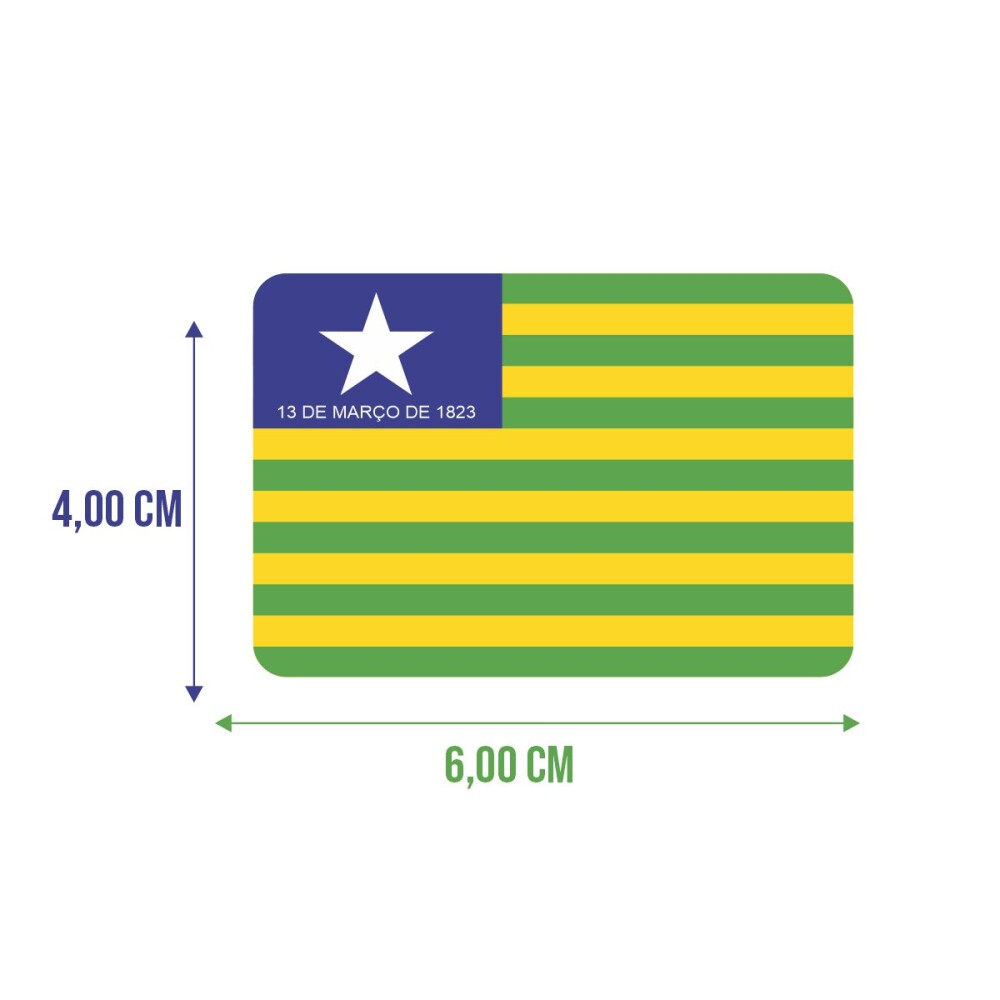 Bandeira Resinada Automotiva do Piauí