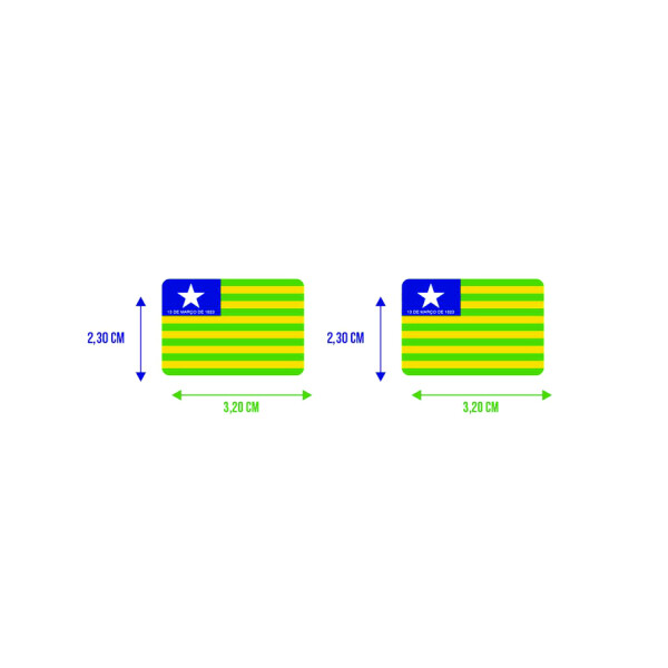 Bandeira Resinada Automotiva do Piauí